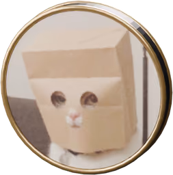 Anonymous Cat
